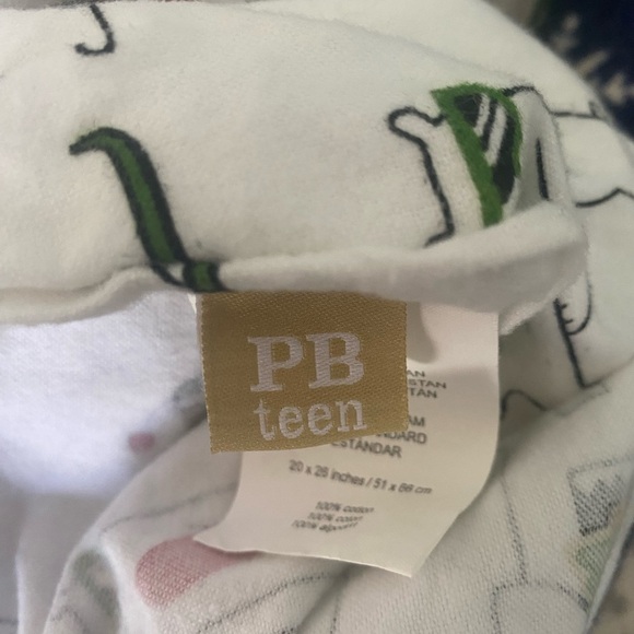 Pottery Barn Teen Polar Bear Duvet and Pillowcase Set - Picture 4 of 13